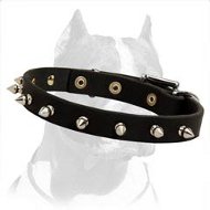 Exclusive "Rock" Style Leather Dog Collar
