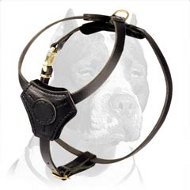 Small Leather Dog Harness for Pitbull puppy