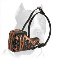 Magma Hand-Painted Pitbull Muzzle