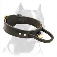 Leather collar Flamingo Patti brown - Collars for dogs - Electric-Collars .com