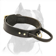 2 Ply Leather Agitation Dog Collar With Handle for Pitbulls