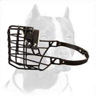 Pitbull Wire Basket Muzzle for Winter Walking
