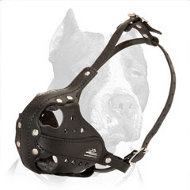 New Leather Pitbull Muzzle for Attack / Agitation Training