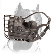 Revolutionary Fully Padded Wire Cage Pitbull Muzzle for Winter Walking