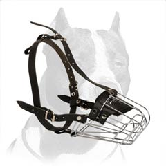 Pitbull Wire Basket Dog Muzzle
