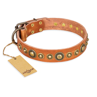 'Feast of Luxury' FDT Artisan Pitbull Tan Leather Dog Collar with Old Bronze-Like Plated Circles - 1 1/2 inch (40 mm) wide