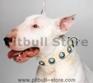 BullTerrier Leather Dog Collar with Silver Circles Blue Stones