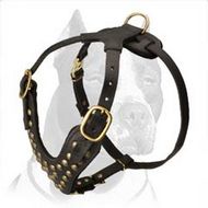 Studded Walking dog harness for Pitbull - Custom Dog Harness