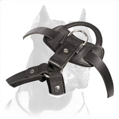 handmade leather dog harness