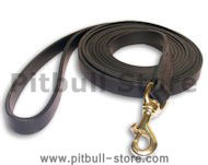 Leash 3/4 inch 6 foot with Snap Hook- LEATHER LEAD