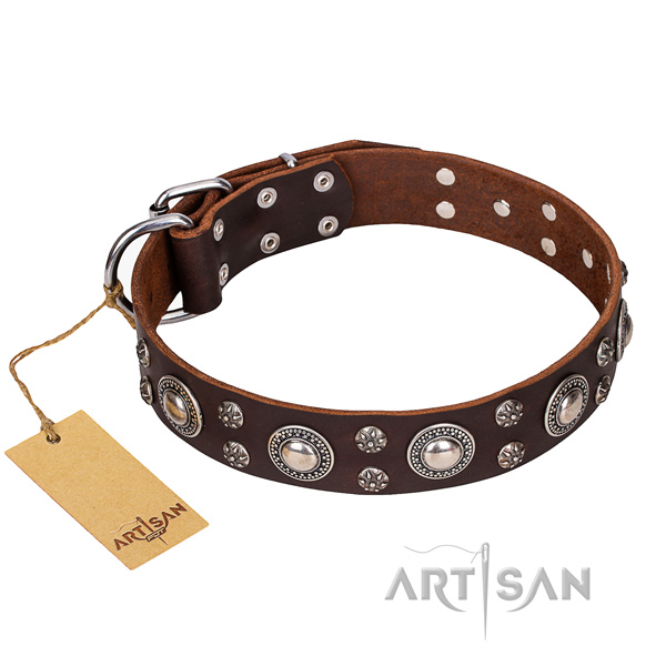 Long-wearing leather dog collar with non-corrosive details