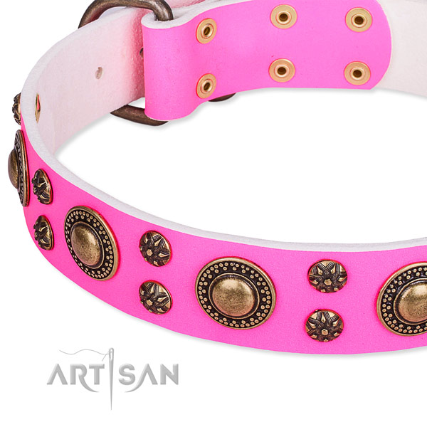 Snugly fitted leather dog collar with resistant rust-proof buckle