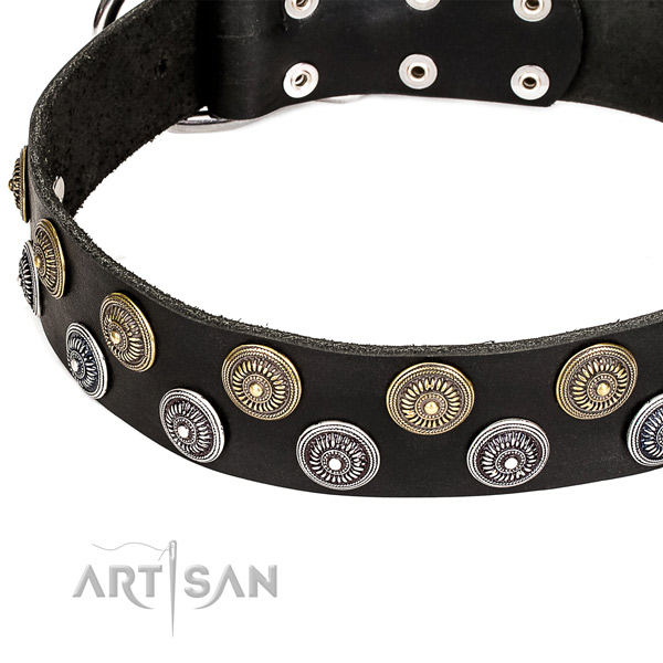 Easy to put on/off leather dog collar with almost unbreakable rust-proof buckle