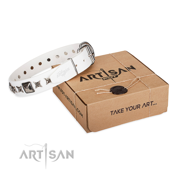 Incredible leather dog collar for stylish walking
