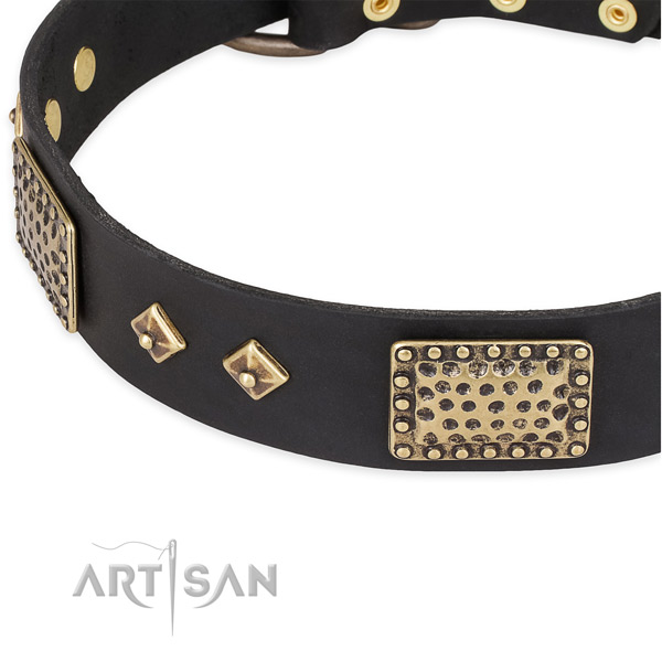 Everyday use full grain genuine leather collar with corrosion resistant buckle and D-ring