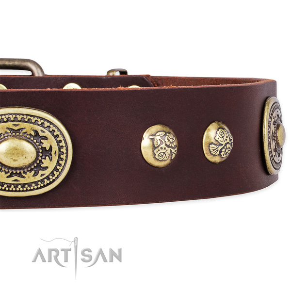 Everyday walking natural genuine leather collar with rust resistant buckle and D-ring