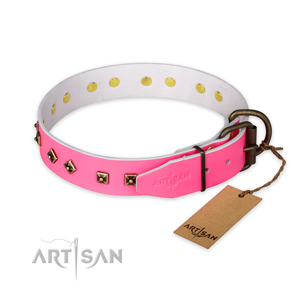 Daily walking leather collar with studs for your four-legged friend