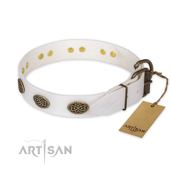Daily use full grain leather collar with adornments for your pet