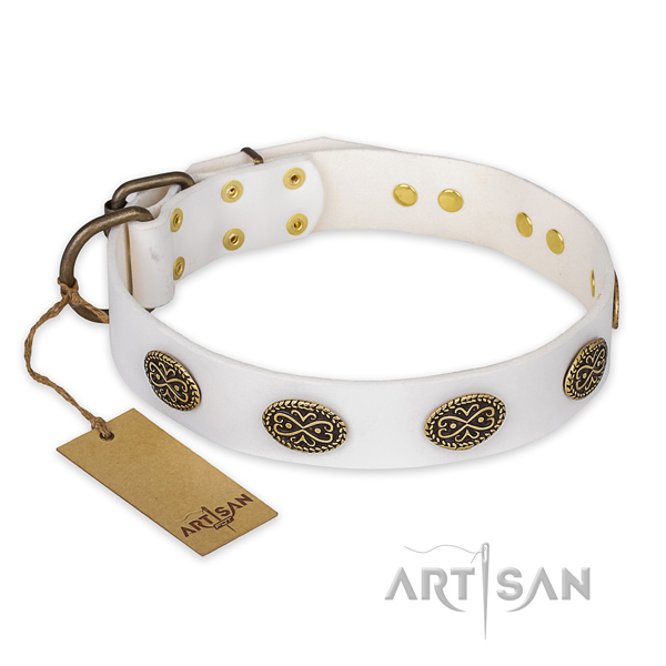Unusual design embellishments on leather dog collar