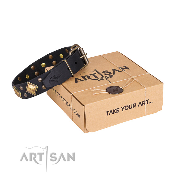 Fashionable full grain leather dog collar for stylish walking