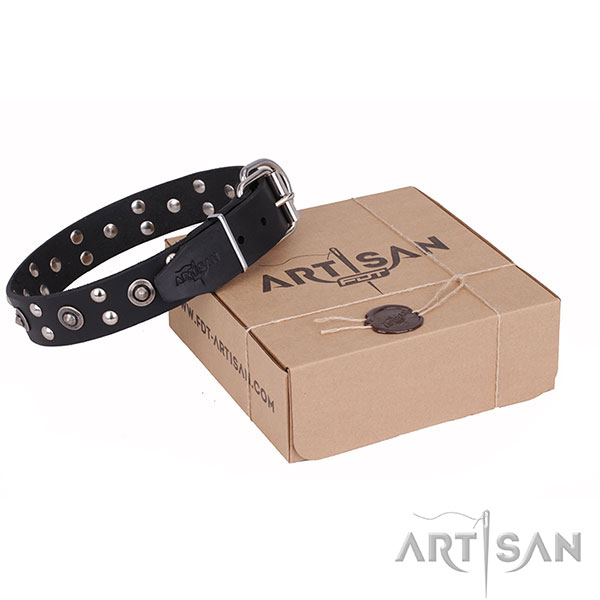 Finest quality leather dog collar for stylish walks