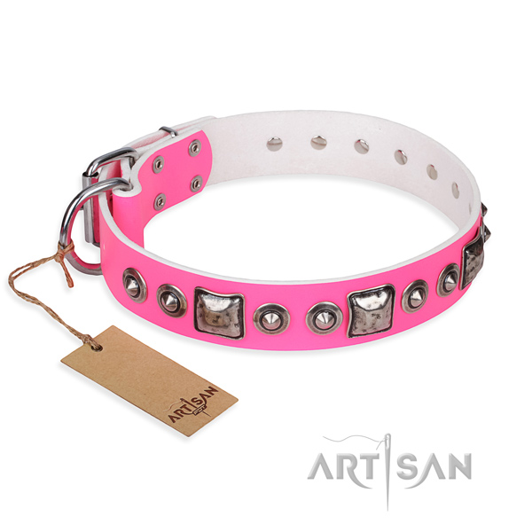 Incredible genuine leather dog collar for everyday use