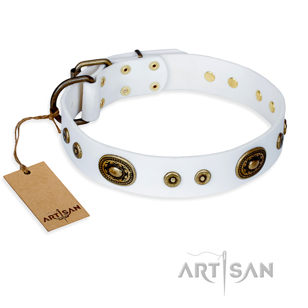 Sturdy leather dog collar with reliable fittings