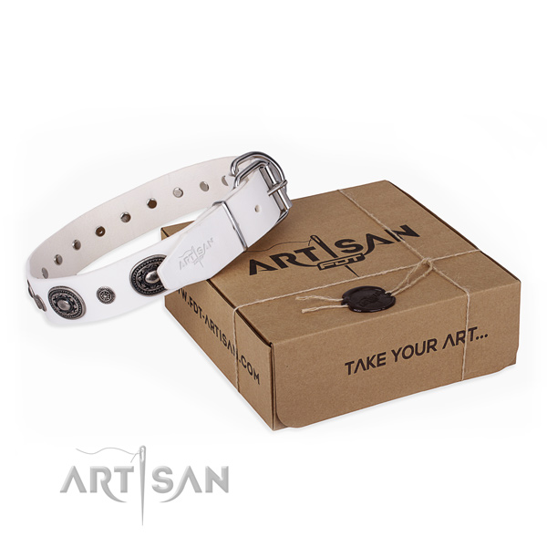 Top quality natural genuine leather dog collar for stylish walking
