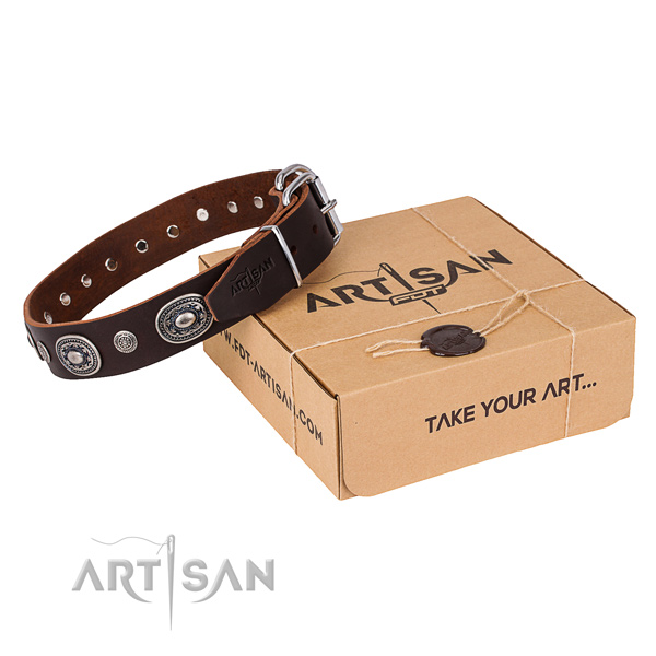 Impressive full grain genuine leather dog collar for walking