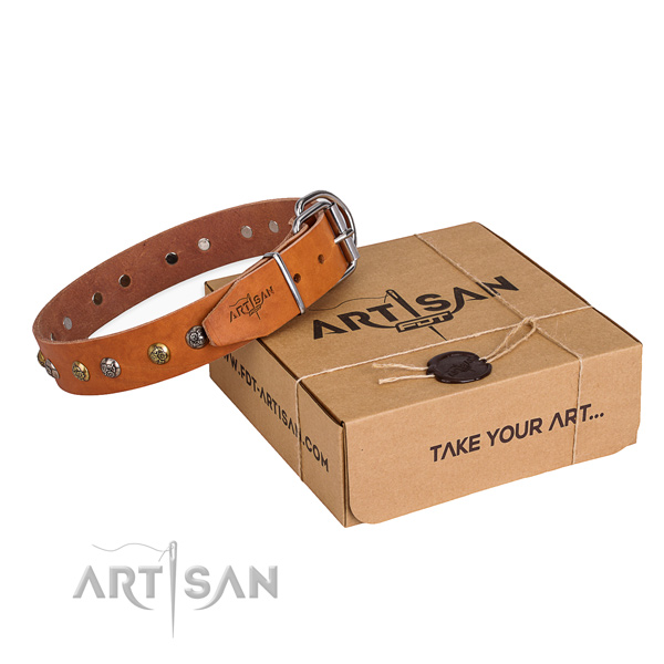 Fashionable full grain natural leather dog collar for stylish walks