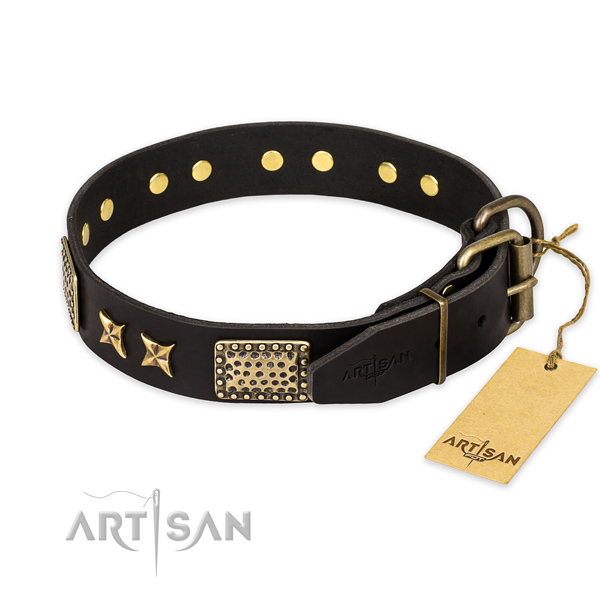 Remarkable design decorations on full grain genuine leather dog collar