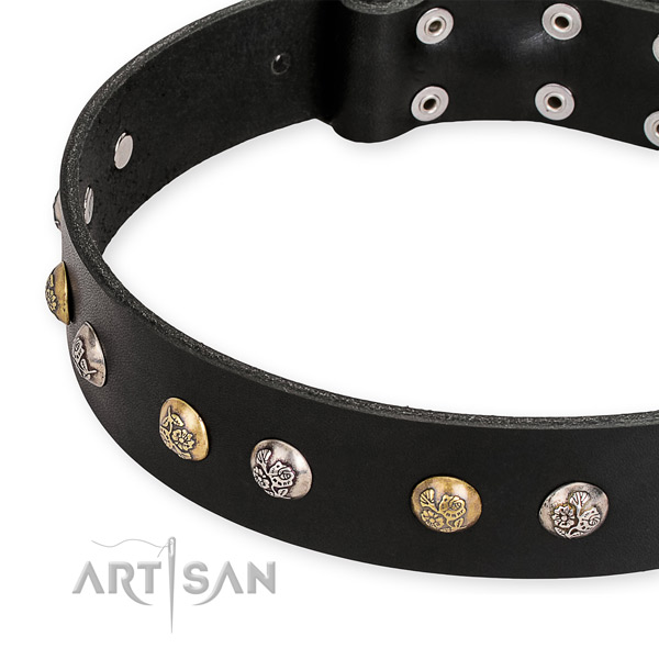 Snugly fitted leather dog collar with extra strong durable buckle