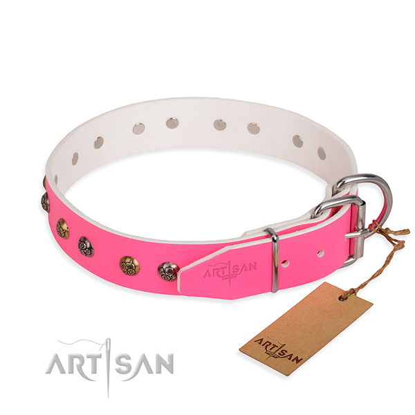 Daily leather collar for your beloved dog