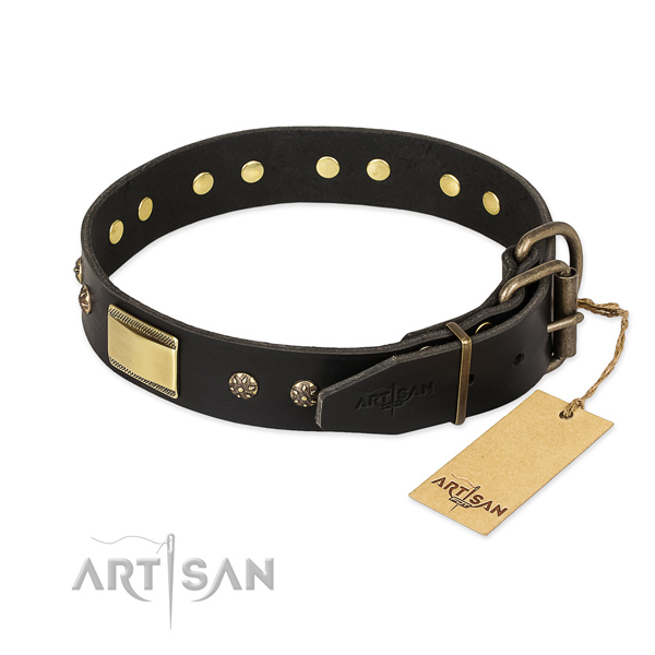 Awesome design embellishments on full grain natural leather dog collar