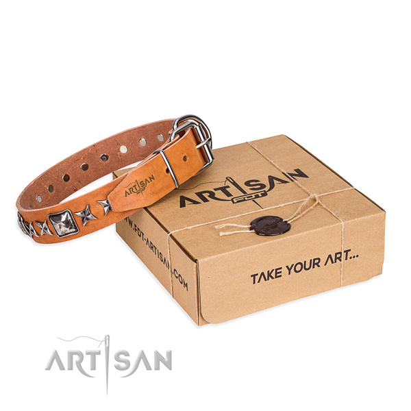 Fashionable full grain genuine leather dog collar for everyday use