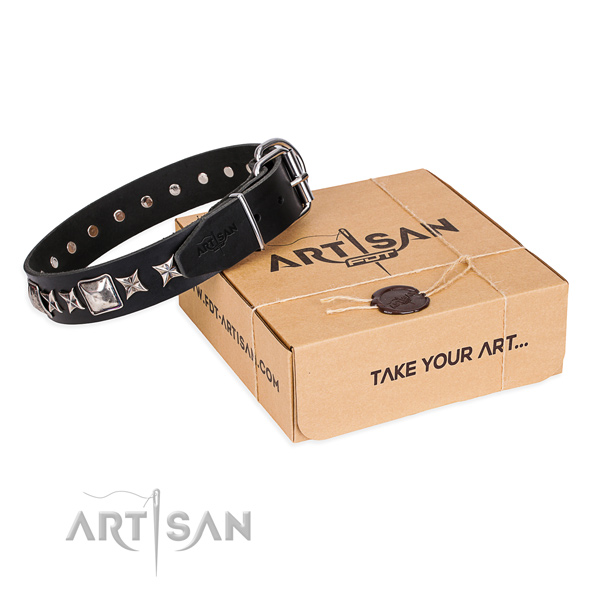 Stylish leather dog collar for everyday use