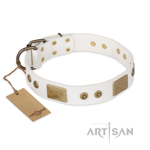 Stunning design adornments on full grain natural leather dog collar
