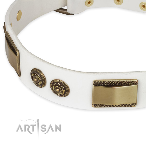 Stylish walking full grain leather collar with rust resistant buckle and D-ring