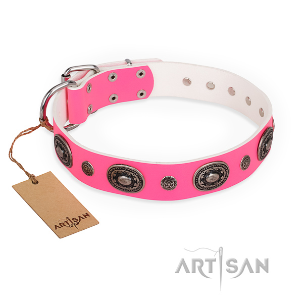 Multifunctional leather collar for your gorgeous four-legged friend