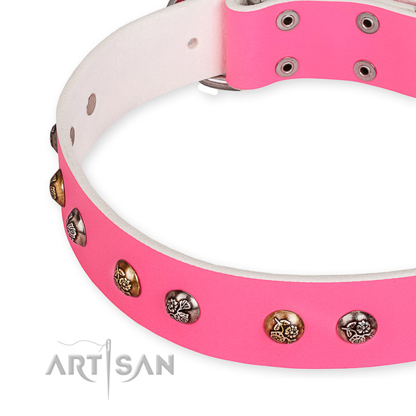 Snugly fitted leather dog collar with extra sturdy chrome plated buckle