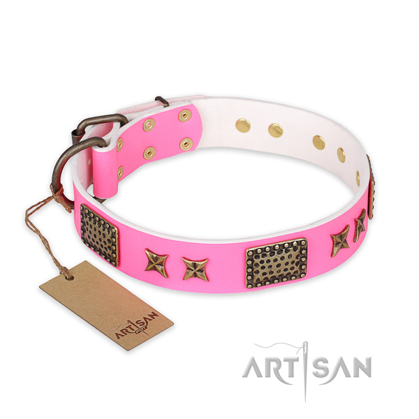 Incredible design embellishments on genuine leather dog collar