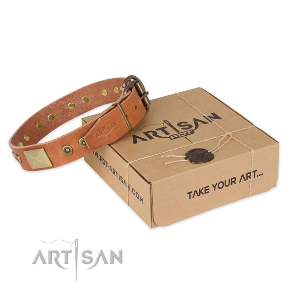 Trendy natural genuine leather dog collar for walking