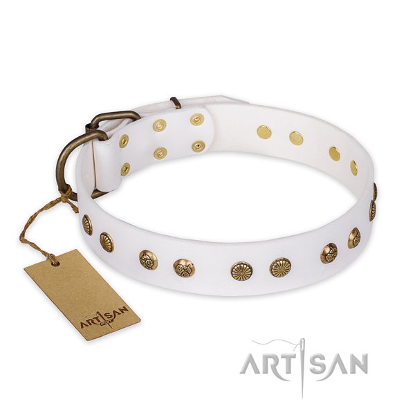 Significant design decorations on full grain leather dog collar