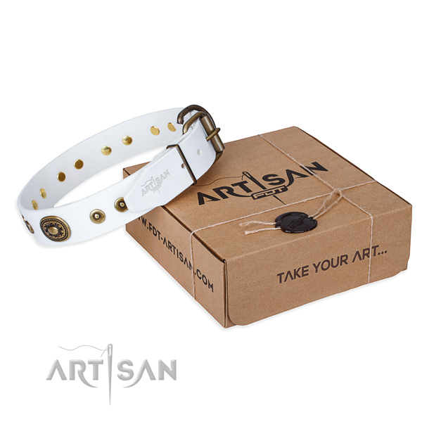 Finest quality full grain natural leather dog collar for daily walking