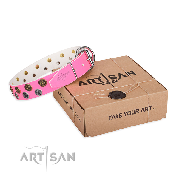 Perfect fit full grain leather dog collar for walking in style