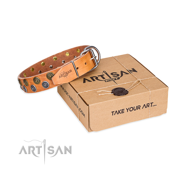 High quality leather dog collar for stylish walks