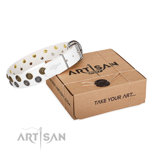 Fine quality natural genuine leather dog collar for stylish walks
