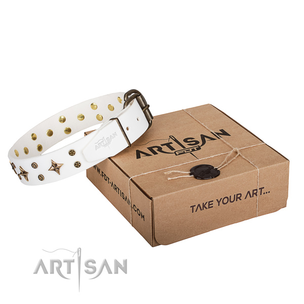 Top notch genuine leather dog collar for everyday walking