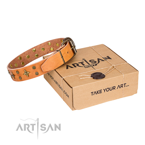 Top quality full grain genuine leather dog collar for walking in style