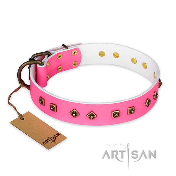 Unusual design adornments on full grain leather dog collar